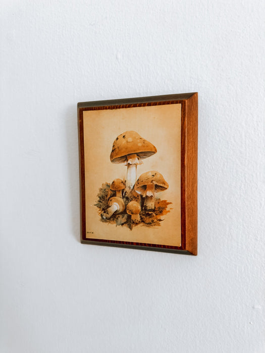 Retro Mushroom Mini Wood Wall Art